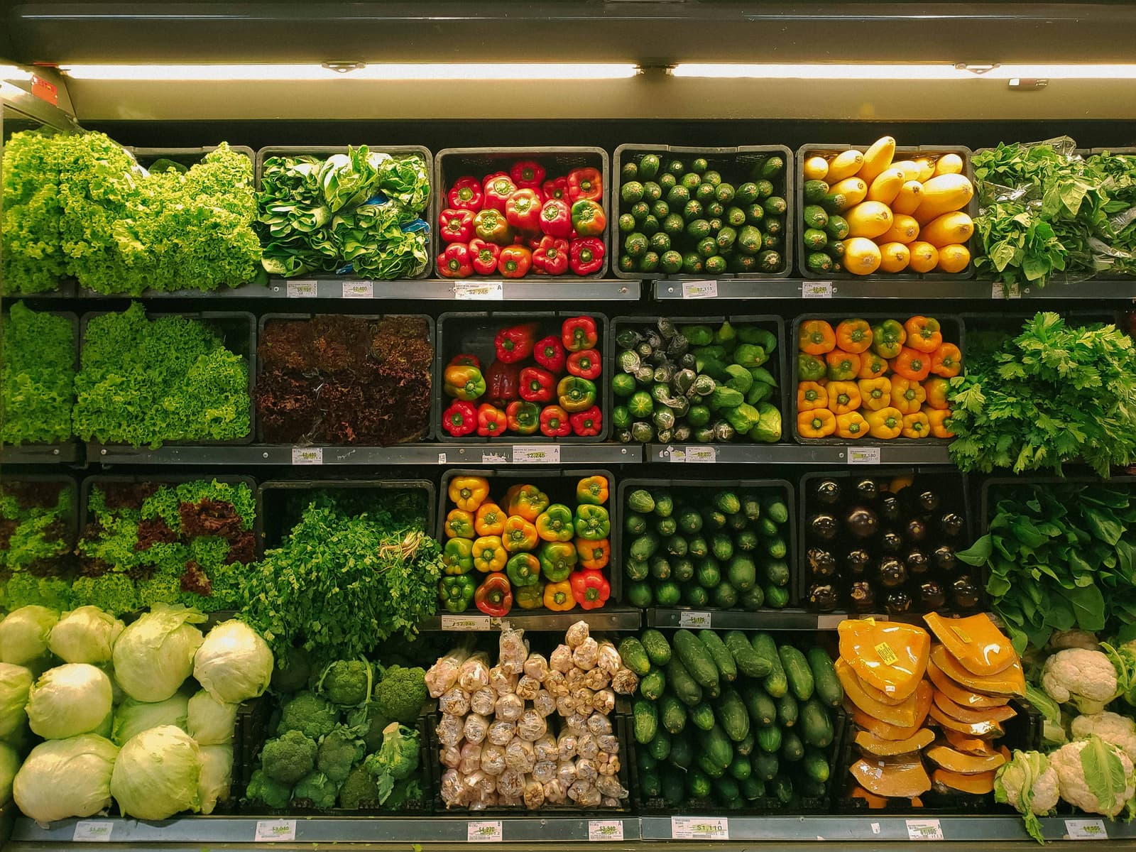 Where to Find Authentic Indian Groceries in Dublin, Wicklow, and Kildare